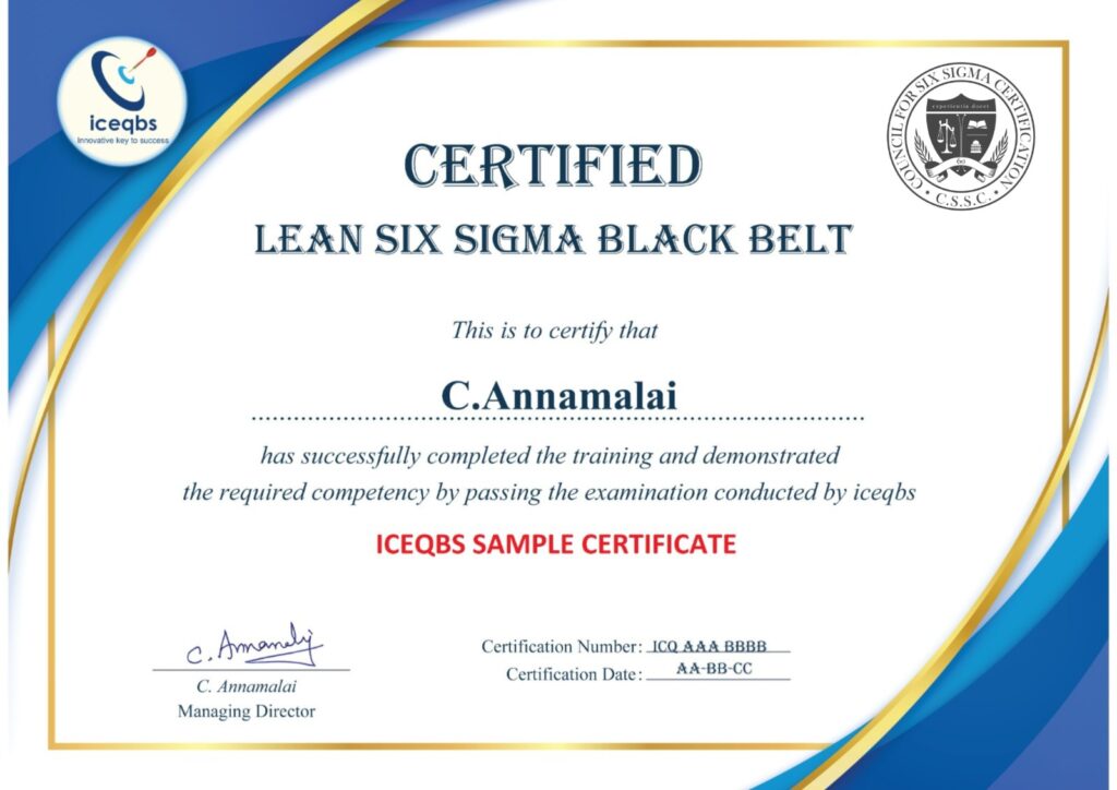 Lean Six Sigma Black Belt -100