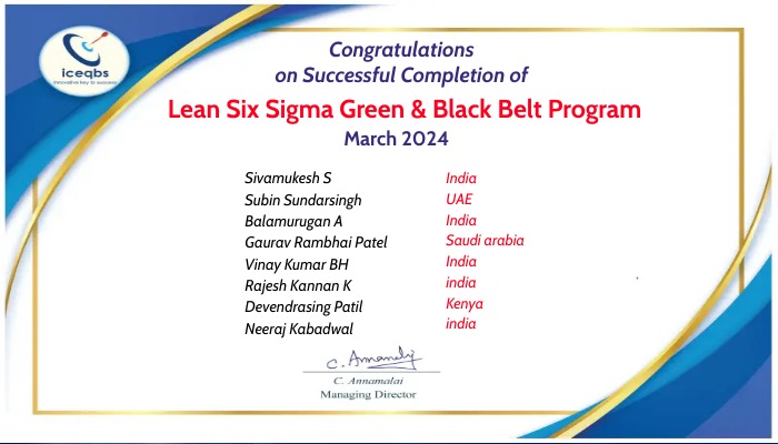 Lean Six sigma Black Belt