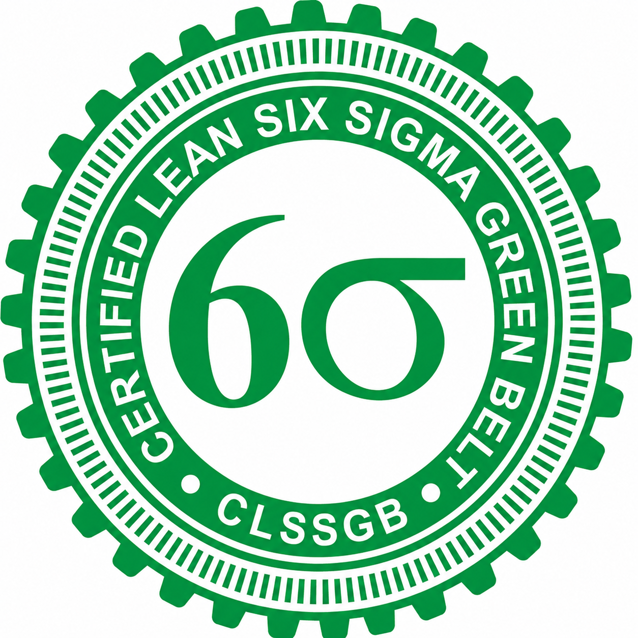 Lean Six Sigma Certification in Tamil Nadu – Green Belt & Black Belt ...